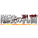 陥没の乳首 (attack on titan)