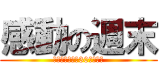 感動の週末 (選びたい放題！30名以上！)