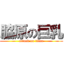 脇原の巨乳 (attack on titan)