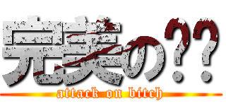 完美の姊姊 (attack on bitch)