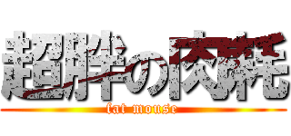 超胖の肉耗 (fat mouse)