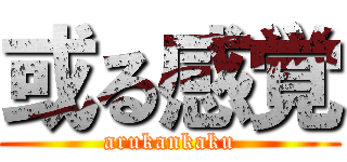 或る感覚 (arukankaku)