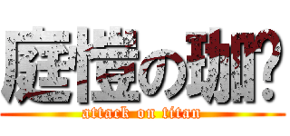 庭愷の珈瑄 (attack on titan)