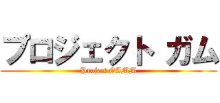 プロジェクト ガム (Project GAMM)
