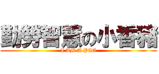 勤勞智慧の小香豬 (I AM A PIG)