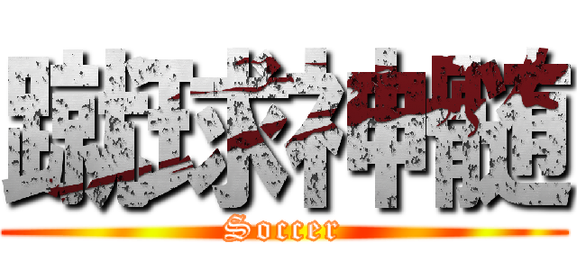 蹴球神髄 (Soccer)