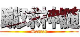 蹴球神髄 (Soccer)