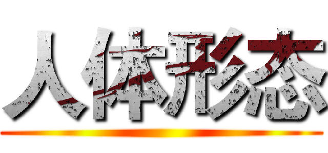 人体形态 ()