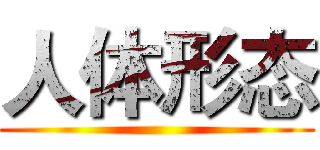 人体形态 ()