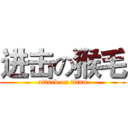 进击の猴毛 (attack on titan)