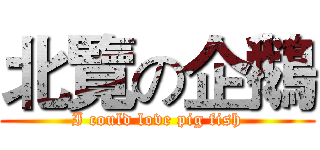 北覽の企鵝 (I could love pig fish)
