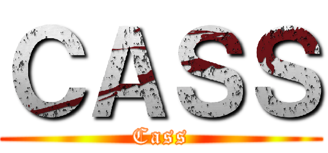 ＣＡＳＳ (Cass)