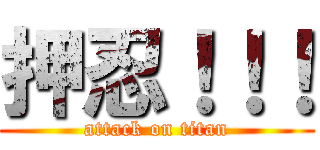 押忍！！！ (attack on titan)