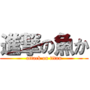 進撃の魚か (attack on titan)