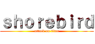 ｓｈｏｒｅｂｉｒｄ (attack on titan)