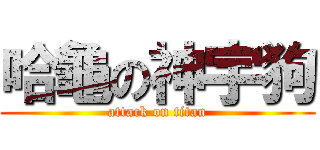 哈龜の神宇狗 (attack on titan)