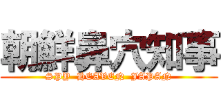 朝鮮鼻穴知事 (SPY  HEAVEN  JAPAN)