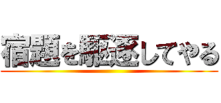宿題を駆逐してやる ()
