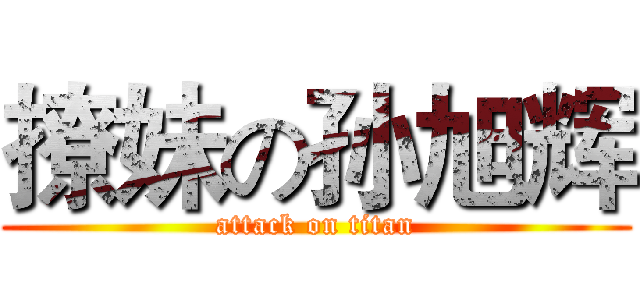 撩妹の孙旭辉 (attack on titan)