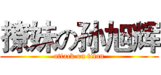 撩妹の孙旭辉 (attack on titan)