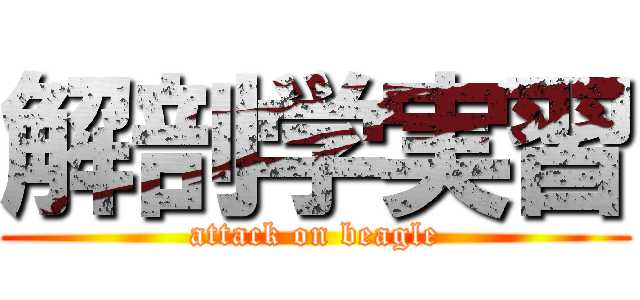 解剖学実習 (attack on beagle)