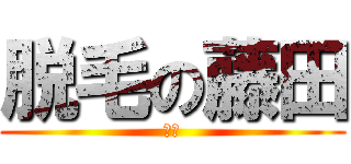 脱毛の藤田 (薄毛)