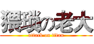 猥琐の老大 (attack on titan)