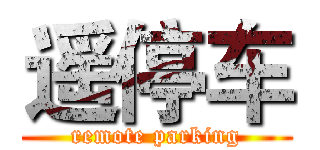 遥停车 (remote parking)