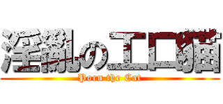 淫亂の工口猫 (Porn the Cat)