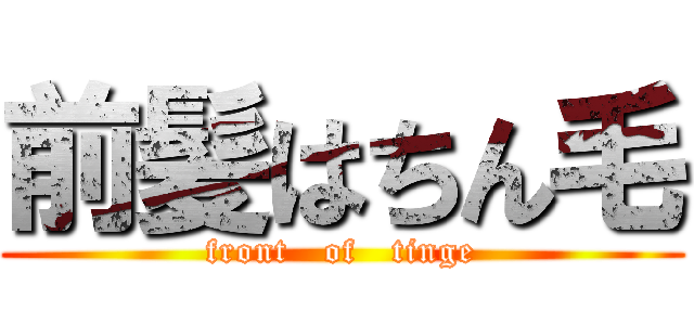 前髪はちん毛 (front   of   tinge)