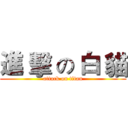 進 擊 の 白 貓 (attack on titan)