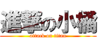 進撃の小橘 (attack on titan)