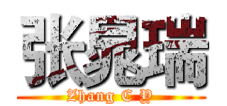 张晁瑞 (Zhang C Y)
