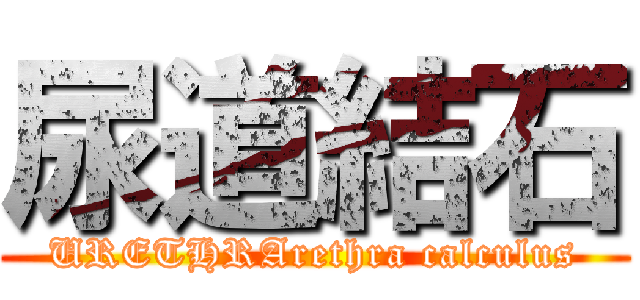 尿道結石 (URETHRArethra calculus)