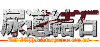 尿道結石 (URETHRArethra calculus)