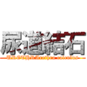 尿道結石 (URETHRArethra calculus)