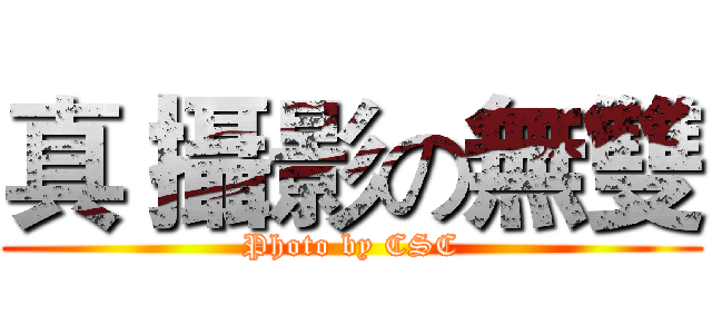 真 攝影の無雙 (Photo by CSC)