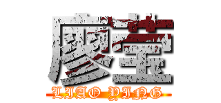 廖莹 (LIAO YING)