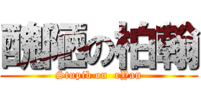 醜陋の柏翰 (Stupib on  rYan)