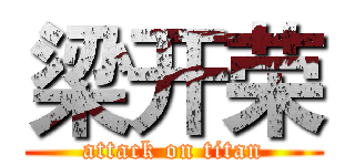 梁开荣 (attack on titan)