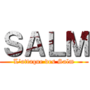 ＳＡＬＭ (L'attaque des Salm)