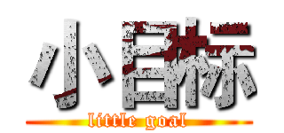 小目标 (little goal)