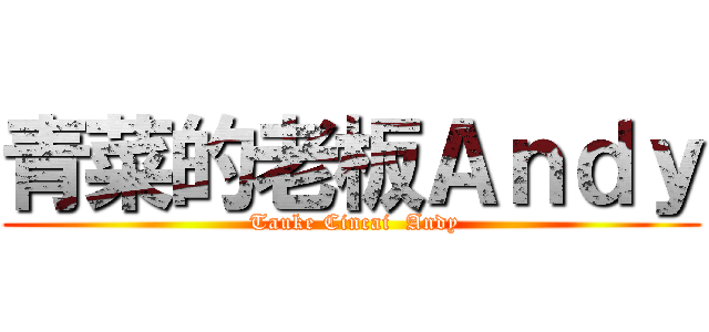 青菜的老板Ａｎｄｙ ( Tauke Cincai  Andy)