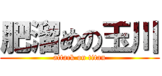 肥溜めの玉川 (attack on titan)