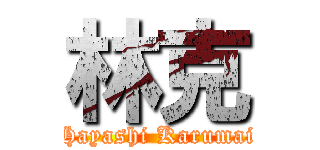 林克 (Hayashi Karumai)