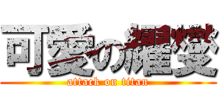 可愛の耀燮 (attack on titan)