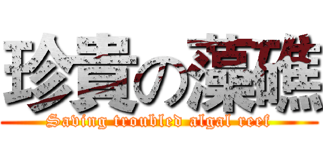 珍貴の藻礁 (Saving troubled algal reef)