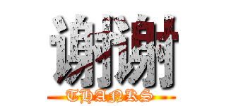 谢谢 (THANKS)