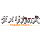 ダメリカの犬 (TUNGUS TRIBE)