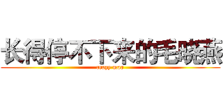 长得停不下来的毛晓燕 (crazy mao)